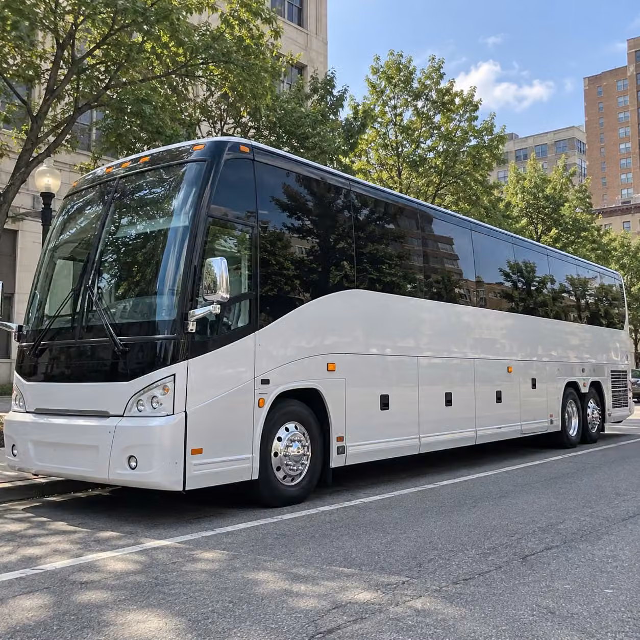 minibus rentals for san mateo student groups visiting the bay area s top museums